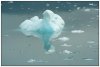 6/islande skatfatell iceberg 30 (Small).jpg